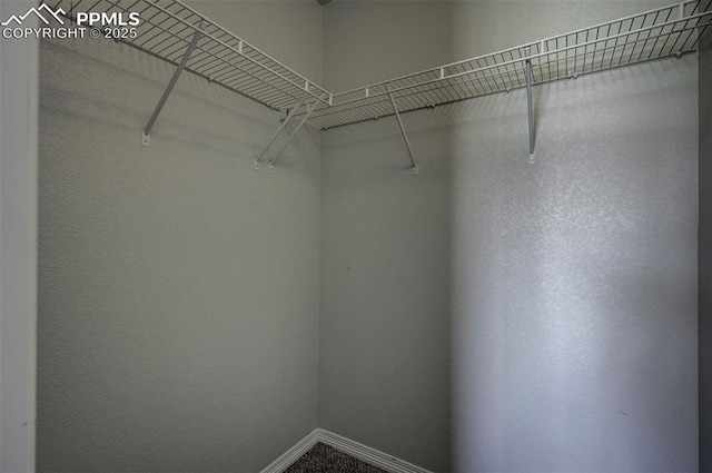 view of spacious closet