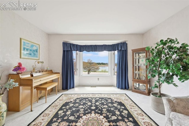 sitting room featuring carpet floors