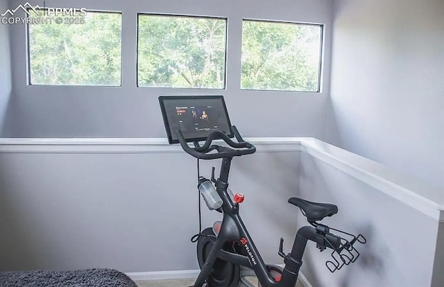 4070 Autumn Heights Dr Unit D, Colorado Springs, CO 80906 - workout room featuring a healthy amount of sunlight