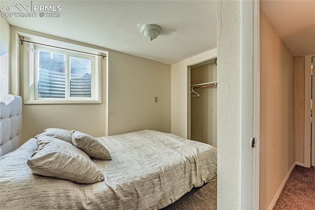 1503 Cheyenne Blvd, Colorado Springs, CO 80906 - bedroom featuring carpet flooring, baseboards, and a closet