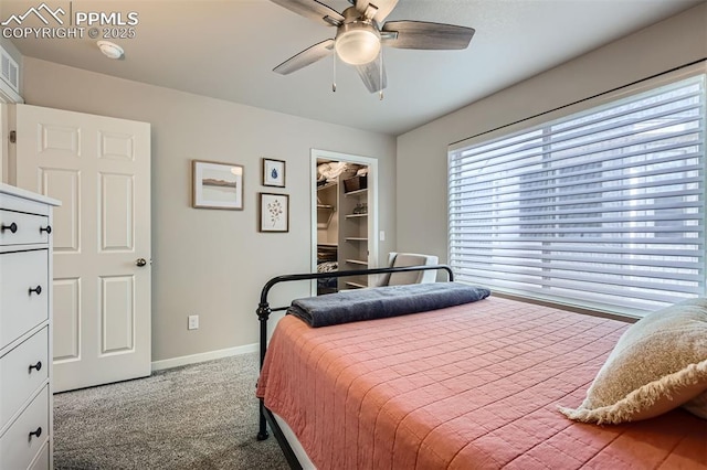 5905 Longford Way, Colorado Springs, CO 80927 - carpeted bedroom featuring baseboards, multiple windows, a spacious closet, and ceiling fan