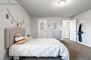 10150 Bracknell Pl, Peyton, CO 80831 - carpeted bedroom with baseboards