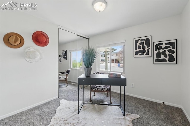 5050 Bunk House Ln, Colorado Springs, CO 80917 - office space featuring carpet flooring and baseboards
