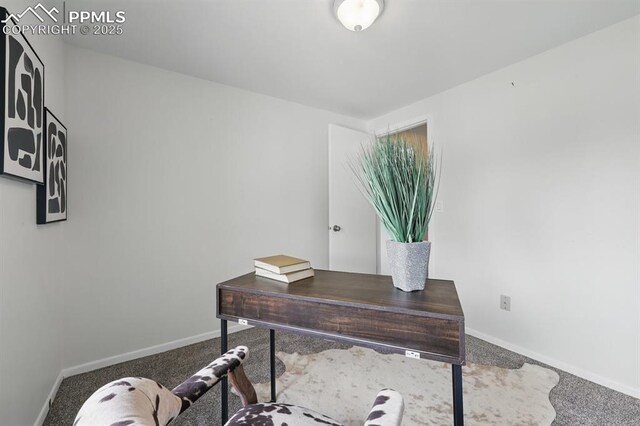5050 Bunk House Ln, Colorado Springs, CO 80917 - carpeted home office with baseboards