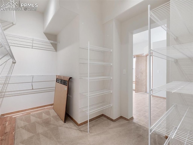 7049 Vasalias Hts, Colorado Springs, CO 80923 - view of spacious closet