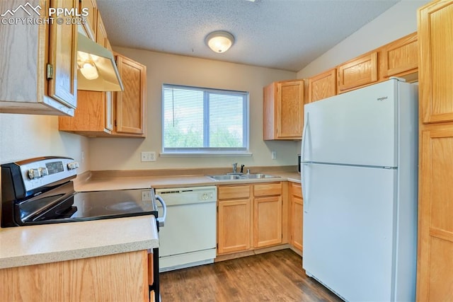 2610 Plumtree Grv, Colorado Springs, CO 80907 - kitchen with white appliances, a sink, under cabinet range hood, a textured ceiling, and light countertops