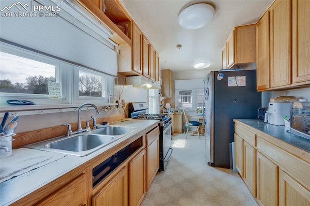 1416 N Foote Ave, Colorado Springs, CO 80909 - kitchen featuring stainless steel appliances, a sink, healthy amount of natural light, and light flooring
