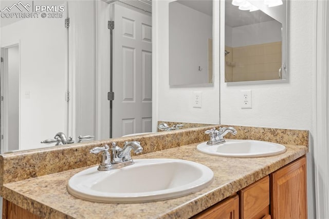 1118 Walters Pt, Monument, CO 80132 - bathroom with double vanity