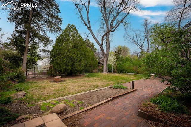 2126 Wood Ave, Colorado Springs, CO 80907 - view of yard featuring a patio