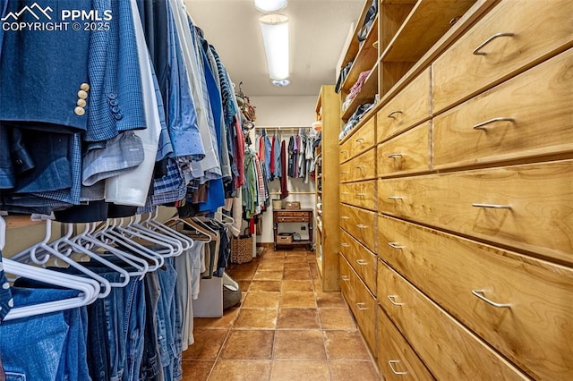 17995 Minglewood Trl, Monument, CO 80132 - view of spacious closet