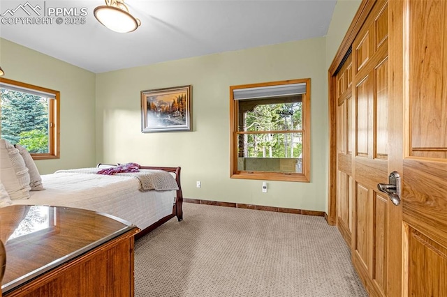 17995 Minglewood Trl, Monument, CO 80132 - bedroom with light colored carpet and a closet