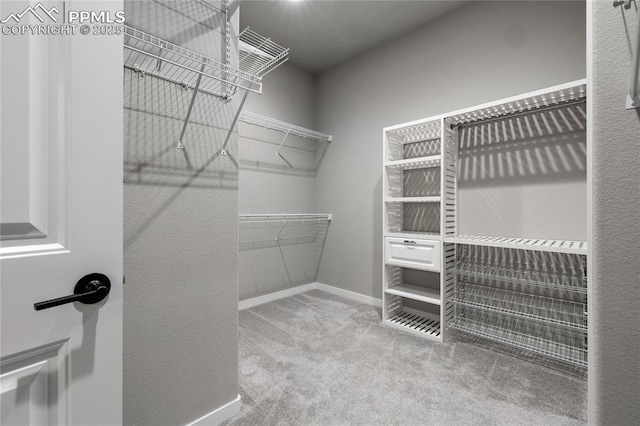 walk in closet featuring carpet