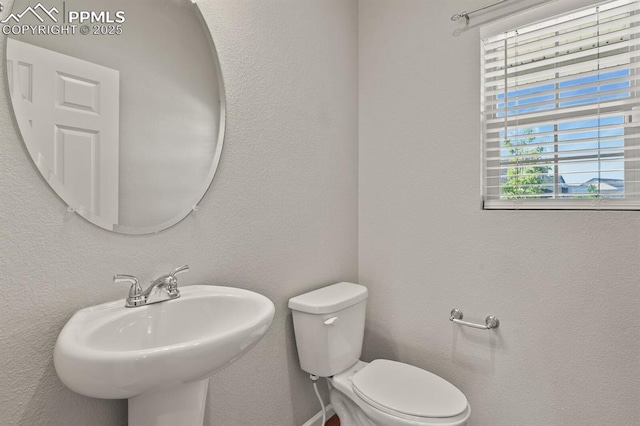 7238 Fauna Glen Dr, Colorado Springs, CO 80927 - half bath featuring a sink and toilet