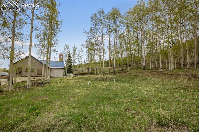 910 Victor Ave, Goldfield, CO 80860 - view of yard