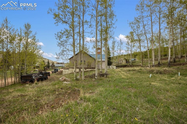910 Victor Ave, Goldfield, CO 80860 - view of yard