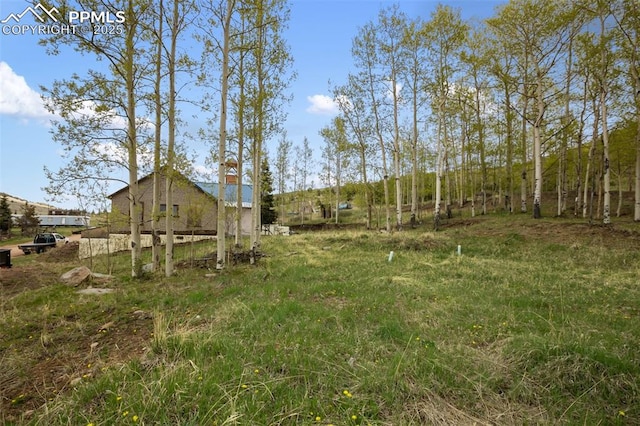 910 Victor Ave, Goldfield, CO 80860 - view of yard