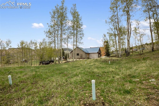 910 Victor Ave, Goldfield, CO 80860 - view of yard