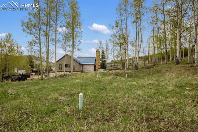 910 Victor Ave, Goldfield, CO 80860 - view of yard