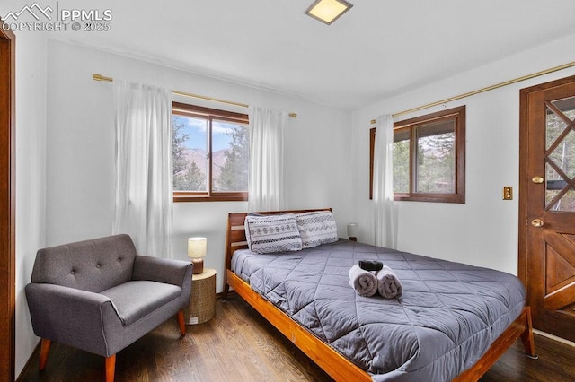 9410 Shoshone Rd, Cascade, CO 80809 - bedroom with wood finished floors and multiple windows