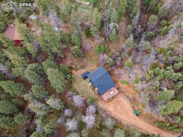 9410 Shoshone Rd, Cascade, CO 80809 - view from above of property
