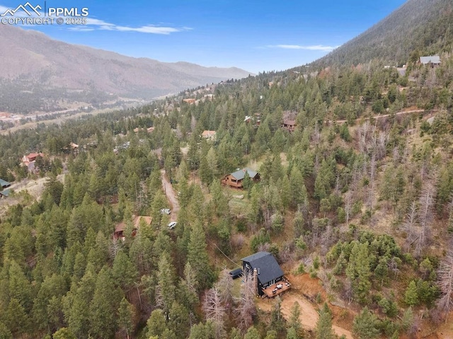 9410 Shoshone Rd, Cascade, CO 80809 - view of property location featuring a forest and a mountainous background