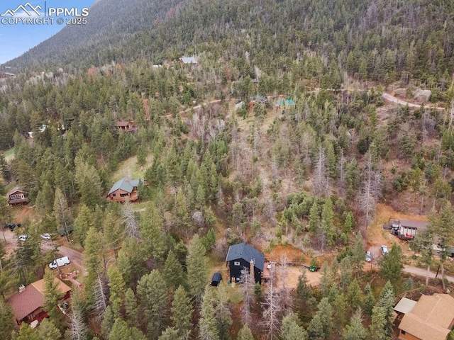 9410 Shoshone Rd, Cascade, CO 80809 - aerial view of property's location with a forest and a mountain backdrop