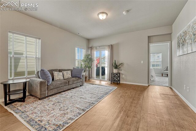 4342 Kaolin Ct, Colorado Springs, CO 80938 - living room with wood finished floors and baseboards