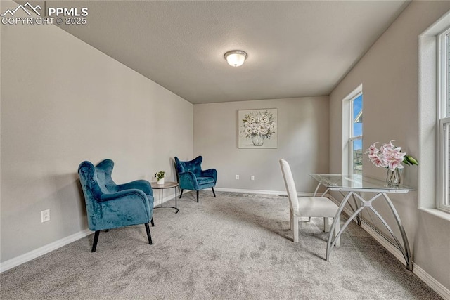 4342 Kaolin Ct, Colorado Springs, CO 80938 - carpeted office with baseboards