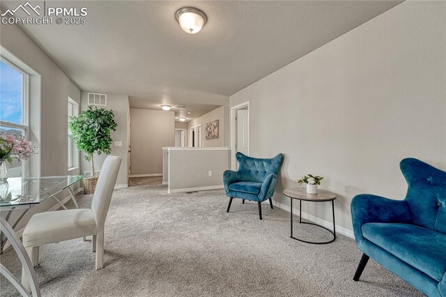 4342 Kaolin Ct, Colorado Springs, CO 80938 - office space featuring carpet floors and baseboards