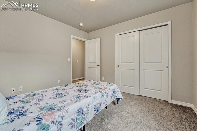4342 Kaolin Ct, Colorado Springs, CO 80938 - carpeted bedroom with a closet and baseboards