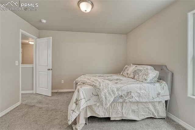 4342 Kaolin Ct, Colorado Springs, CO 80938 - bedroom featuring carpet floors