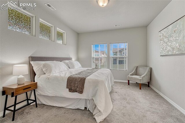 4342 Kaolin Ct, Colorado Springs, CO 80938 - carpeted bedroom featuring baseboards
