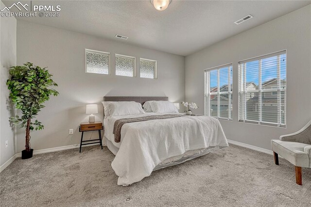 4342 Kaolin Ct, Colorado Springs, CO 80938 - carpeted bedroom featuring multiple windows