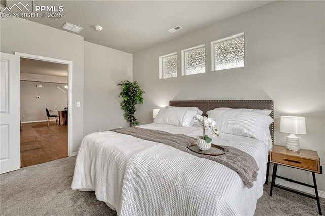 4342 Kaolin Ct, Colorado Springs, CO 80938 - carpeted bedroom featuring baseboards