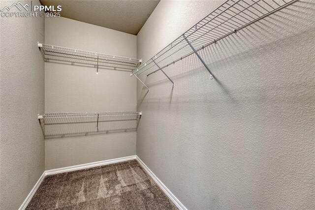 4342 Kaolin Ct, Colorado Springs, CO 80938 - spacious closet featuring carpet flooring