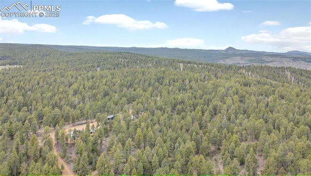 8412 Usfs 357, Woodland Park, CO 80135