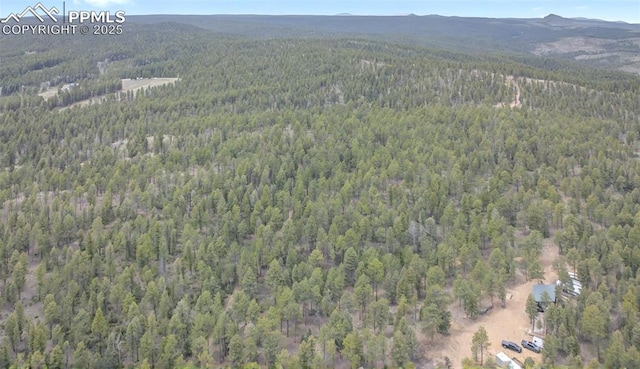 8412 Usfs 357, Woodland Park, CO 80135