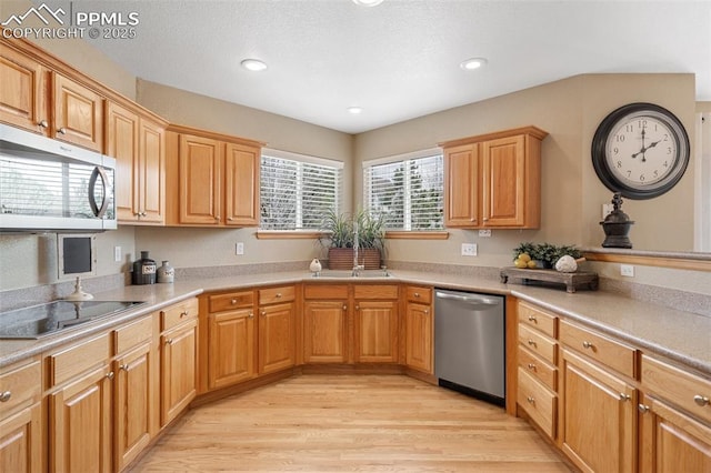 11985 Hanging Valley Way, Colorado Springs, CO 80921 - kitchen featuring appliances with stainless steel finishes, light wood-style floors, recessed lighting, a sink, and light countertops