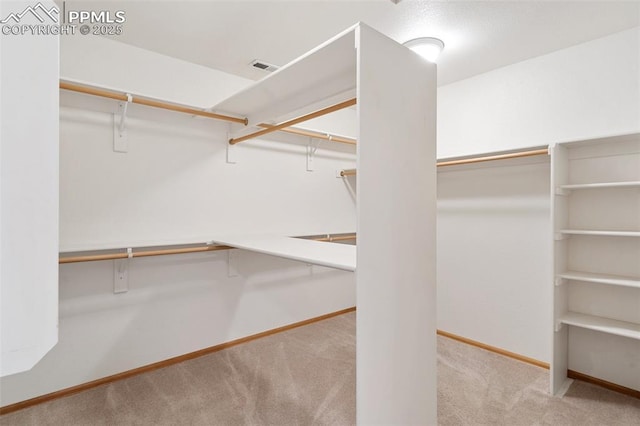 11985 Hanging Valley Way, Colorado Springs, CO 80921 - spacious closet with carpet flooring