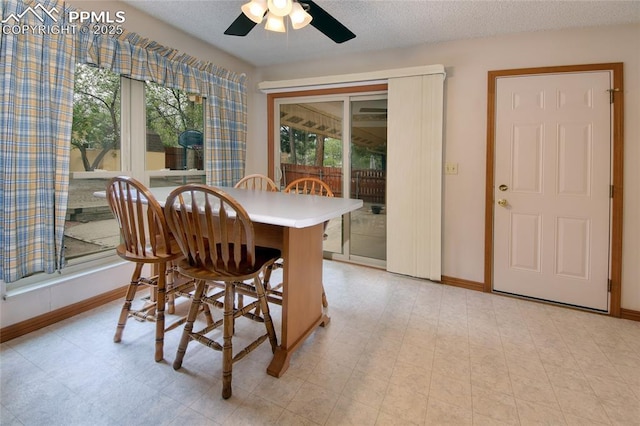 770 Allegheny Dr, Colorado Springs, CO 80919 - dining space with a ceiling fan, baseboards, and light floors