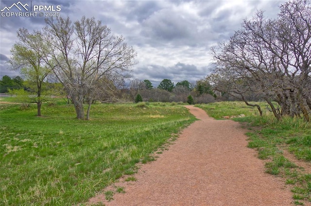 770 Allegheny Dr, Colorado Springs, CO 80919 - view of home's community