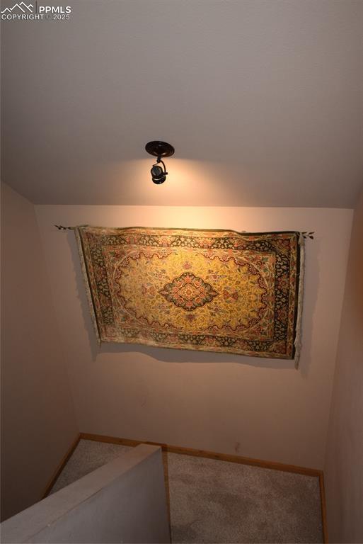 78 Powderhorn Ln, Florissant, CO 80816 - detailed view of carpet floors and baseboards