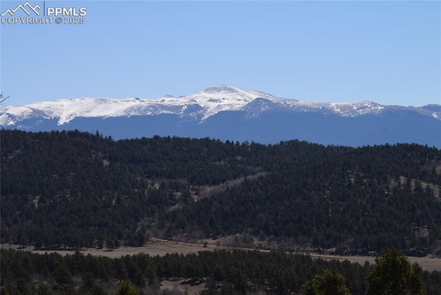 78 Powderhorn Ln, Florissant, CO 80816 - view of mountain backdrop with a heavily wooded area