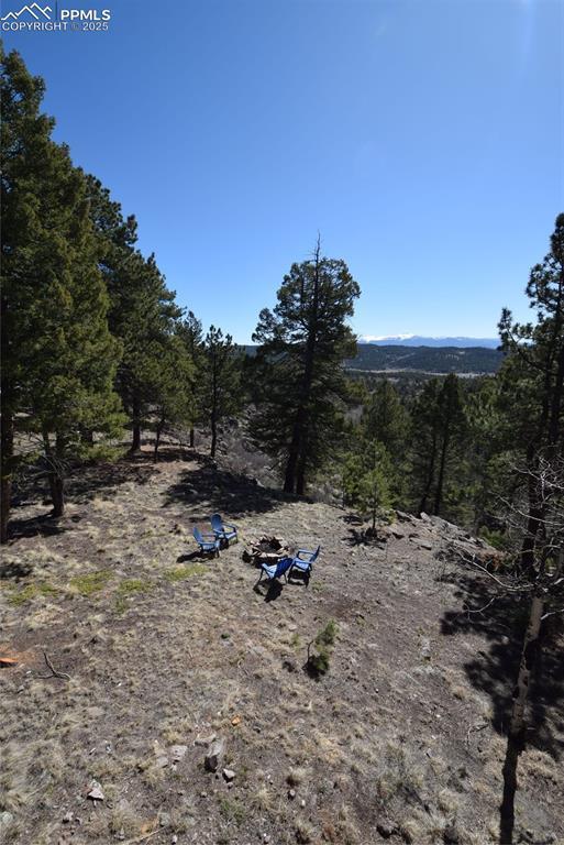 78 Powderhorn Ln, Florissant, CO 80816 - view of wooded area