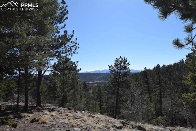 78 Powderhorn Ln, Florissant, CO 80816 - view of mountain background featuring a heavily wooded area