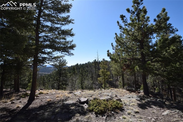 78 Powderhorn Ln, Florissant, CO 80816 - view of woods