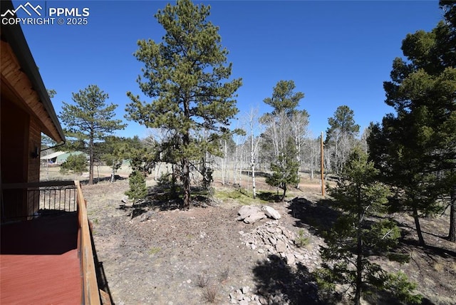 78 Powderhorn Ln, Florissant, CO 80816 - view of yard with fence