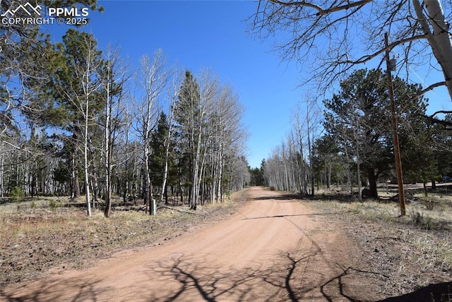 78 Powderhorn Ln, Florissant, CO 80816 - view of dirt / gravel road featuring a view of trees