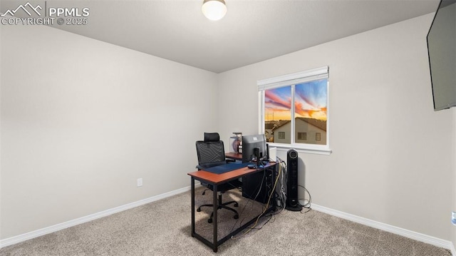 office with baseboards and carpet floors