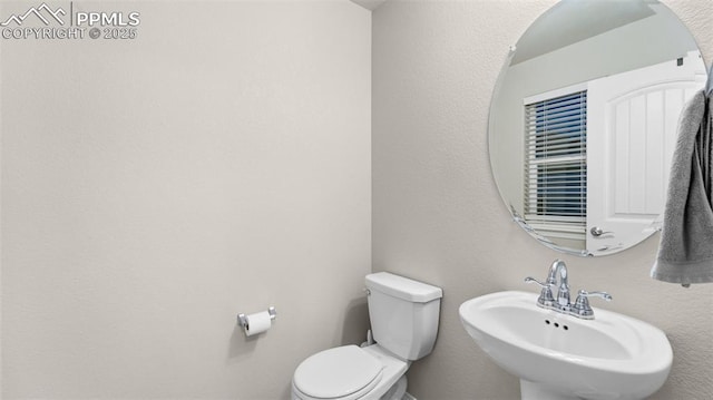 half bath featuring a sink and toilet